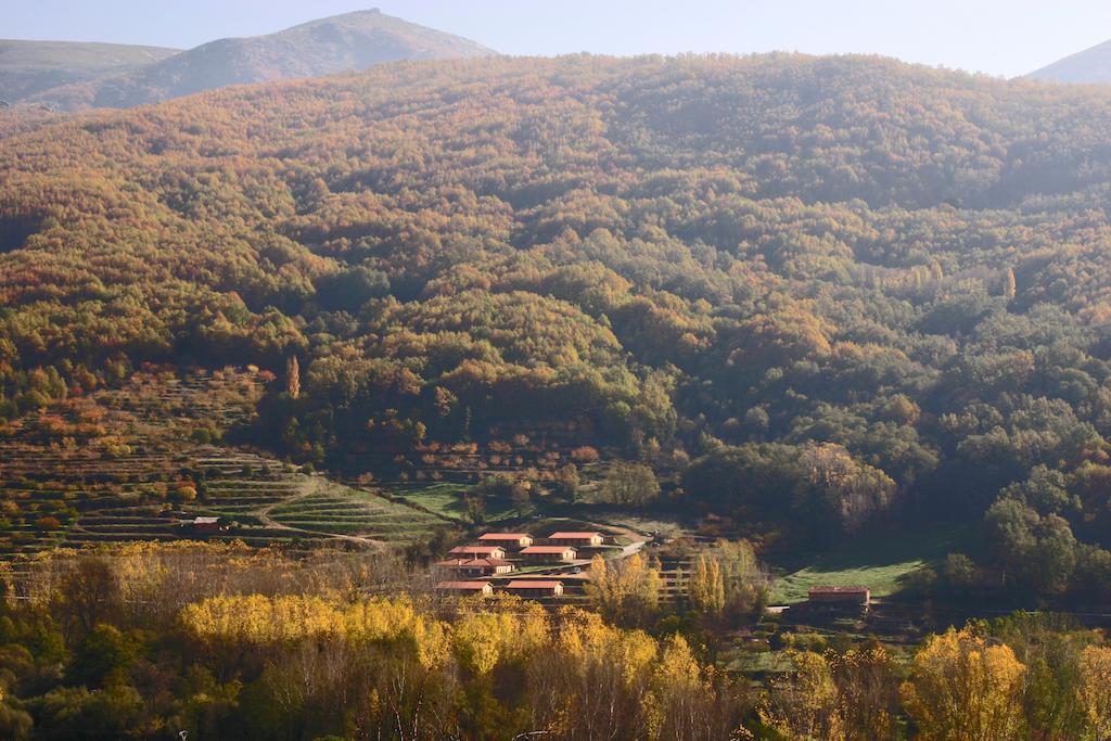 Apartamentos Rurales La Vega Del Jerte Εξωτερικό φωτογραφία